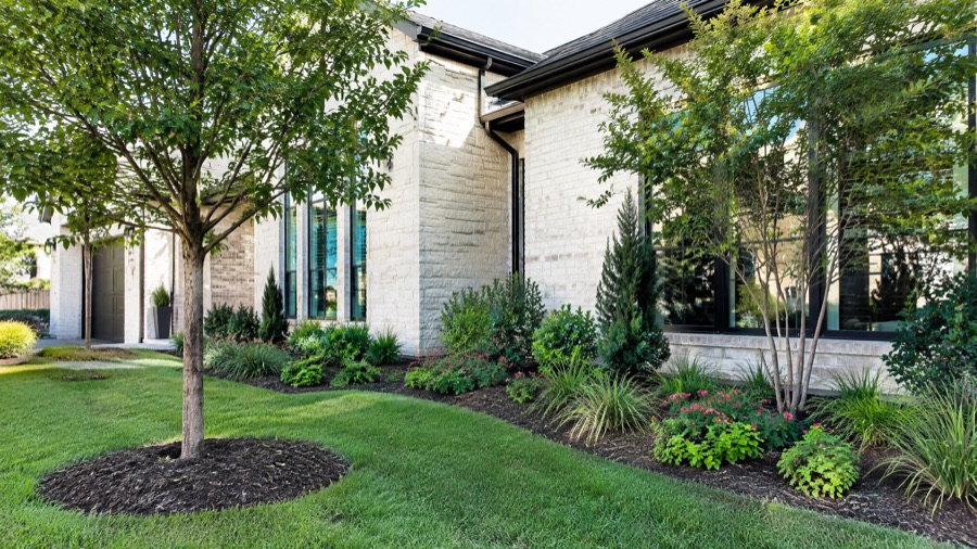 Design inspiration for Tree & Plant Installation in Dallas